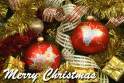 merry_christmas_din_partea_georgianei_globuri_rosii_si_beteala_de_brad.jpg